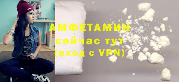 крисы Горняк