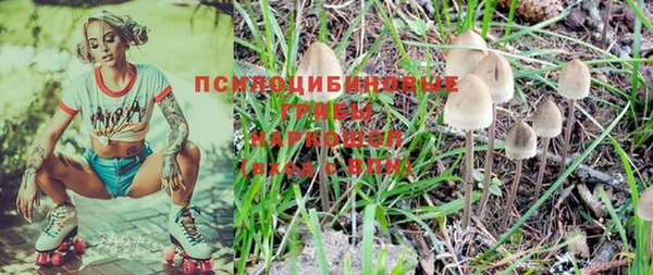спиды Нефтекумск